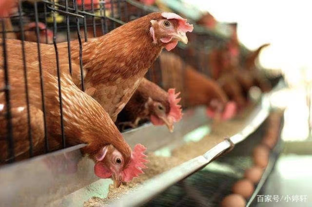 6580896C-FDCF-4FDD-8A78-184A4DE76B34.