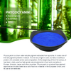 음식 급료 자연적인 파란 색깔 안료 Spirulina E18 Phycocyanin 분말