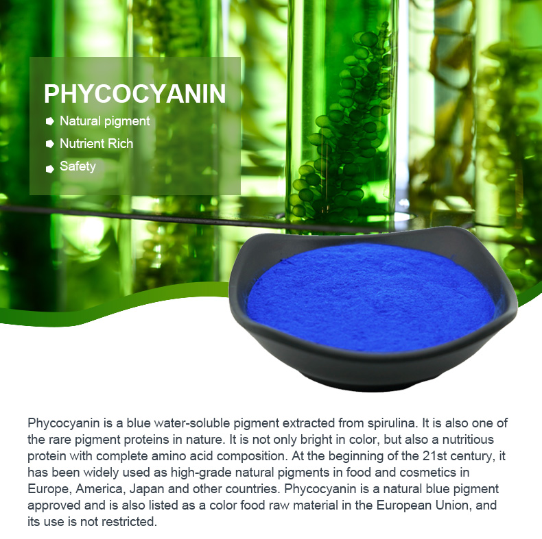 음식 급료 자연적인 파란 색깔 안료 Spirulina E18 Phycocyanin 분말