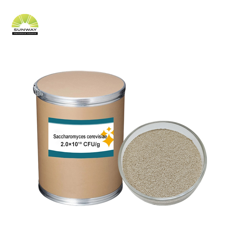 공장 200억 Saccharomyces Cerevisiae Brewers 효모 분말 가금류 가축 돼지 소 양용 동물 사료 첨가제