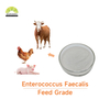공장 공급 Enterococcus Faecalis 1000억 사료 동물용 첨가제 Enterococcus Faecalis 분말