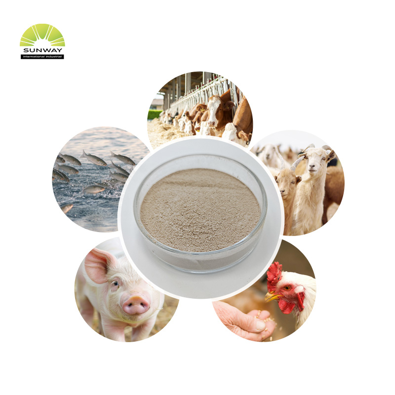 동물 사료 가금류를 위한 사료 등급 자일라나아제 효소 열안정성 자일라나아제