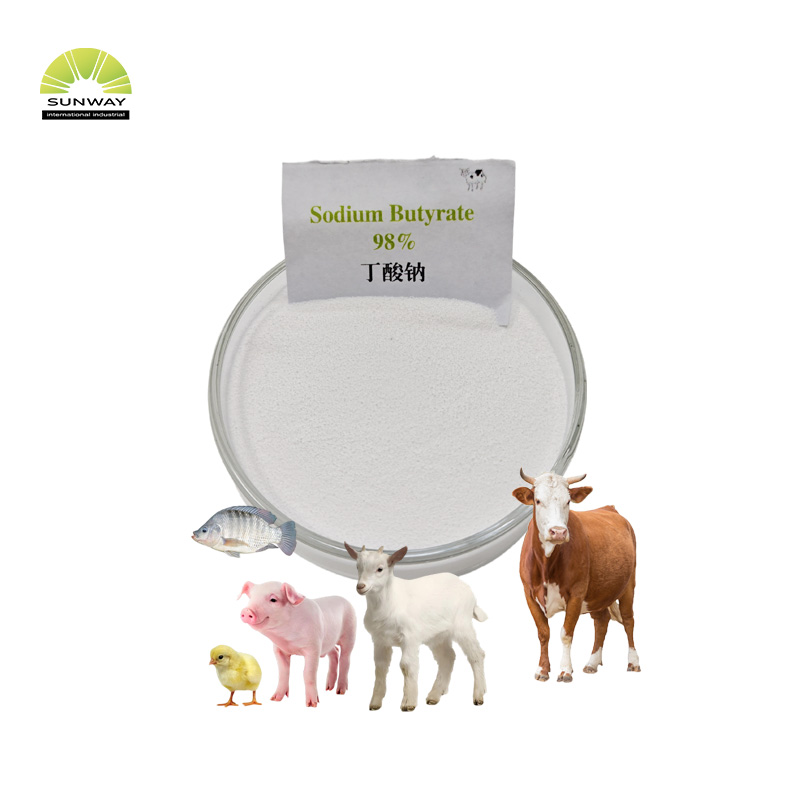 사료 등급 98% 40% 70% 90% 나트륨 부티레이트 분말 가격