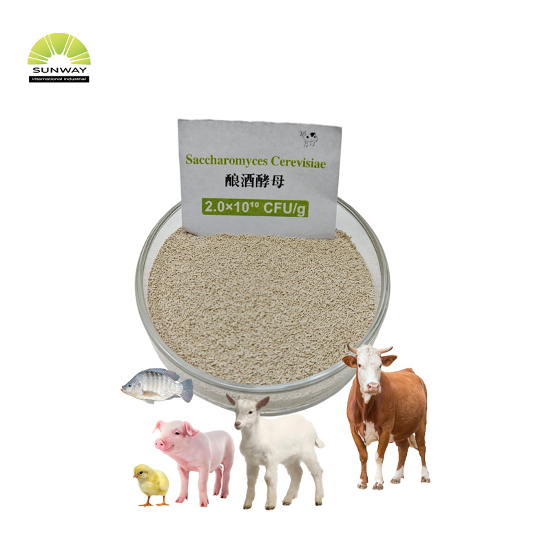 공장 200억 Saccharomyces Cerevisiae Brewers 효모 분말 가금류 가축 돼지 소 양용 동물 사료 첨가제