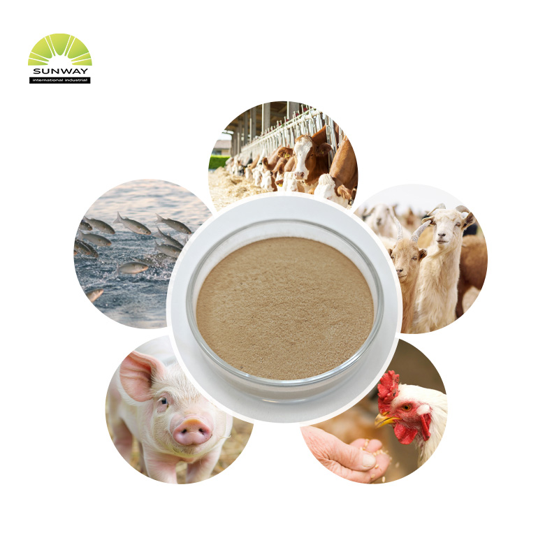 고품질 내열성 알파-아밀라아제 효소 분말 가격