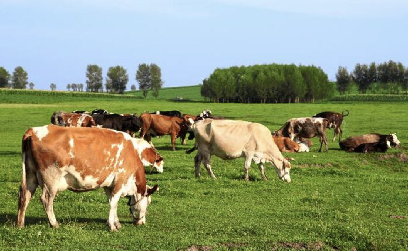 73332AA8-D4AA-494C-B699-57A4559078B9.