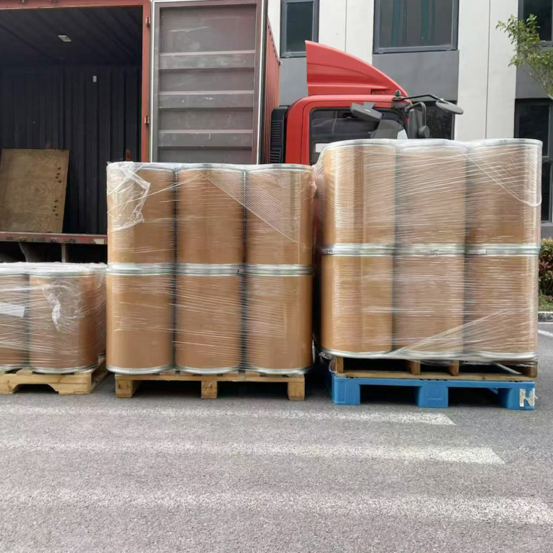 가금류용 사료 등급 바실러스 응고균 프로바이오틱 바실러스 응고균 분말