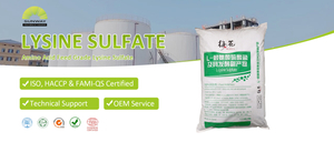 赖氨酸硫酸盐封面.jpg