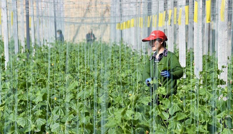 105E6239-968E-4116-AF4E-BD9D9BE22AB1.