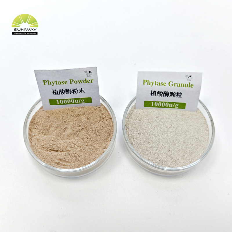 가금류 산성 안정 피타제 분말 피타제 5000 및 10000을 위한 사료 등급 피타제 효소